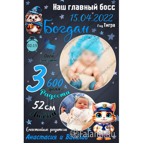 Метрика ребенка Плакат №18