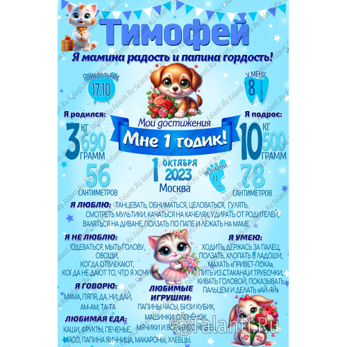 Метрика ребенка Плакат №27